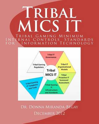 Book cover for Tribal MICS IT