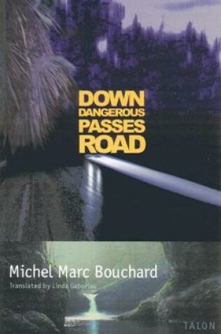 Cover of Down Dangerous Passes Road