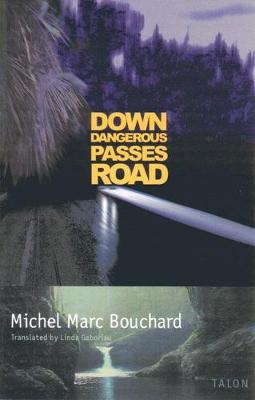 Book cover for Down Dangerous Passes Road