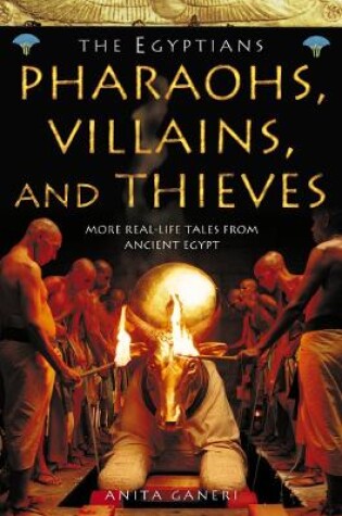 Cover of Pharaohs, Villains and Thieves
