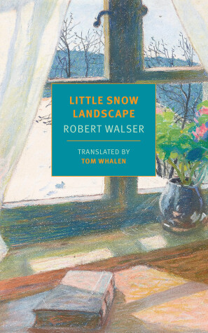Book cover for Little Snow Landscape