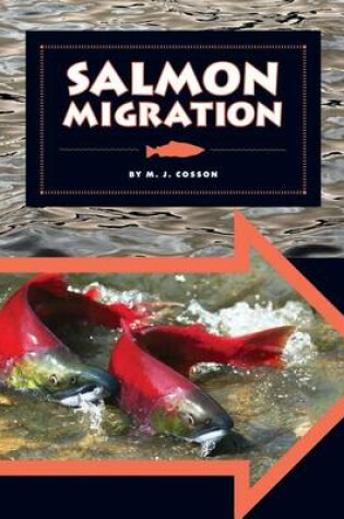 Cover of Salmon Migration