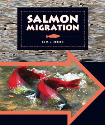 Book cover for Salmon Migration