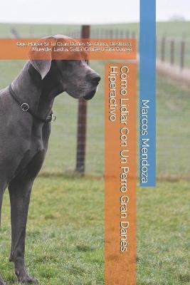 Book cover for Como Lidiar Con Un Perro Gran Danes Hiperactivo