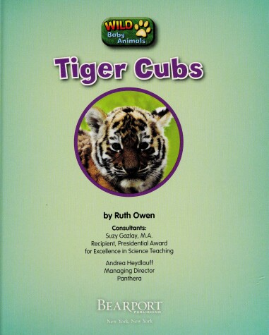 Book cover for Tiger Cubs