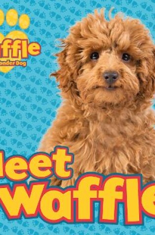 Cover of Meet Waffle!