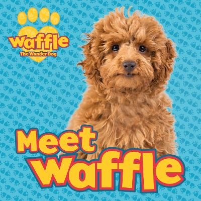 Book cover for Meet Waffle!