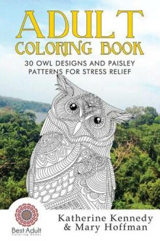 Cover of 30 Owl Designs and Paisley Patterns for Stress Relief
