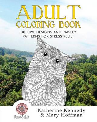 Book cover for 30 Owl Designs and Paisley Patterns for Stress Relief