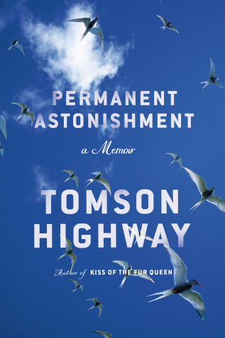 Book cover for Permanent Astonishment (Signed Edition)