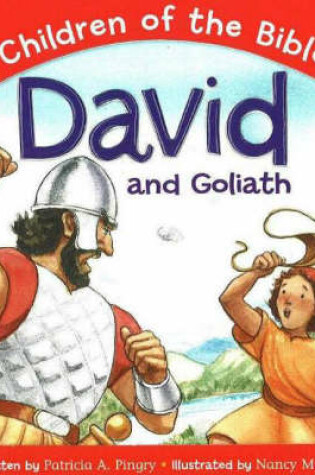 Cover of David and Goliath