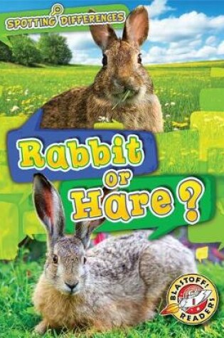 Cover of Rabbit or Hare