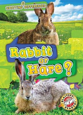 Book cover for Rabbit or Hare