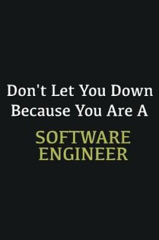 Cover of Don't let you down because you are a Software Engineer