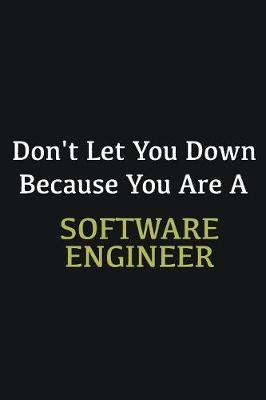 Book cover for Don't let you down because you are a Software Engineer