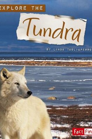 Cover of Explore the Tundra