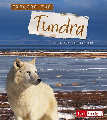 Book cover for Explore the Tundra