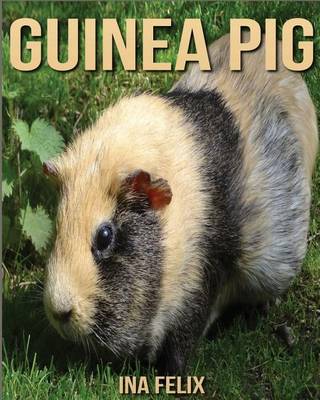 Book cover for Guinea Pig