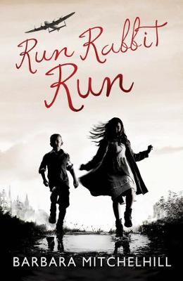 Book cover for Run Rabbit Run