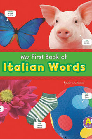 Cover of My First Book of Italian Words