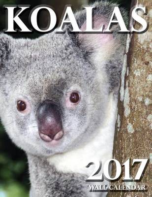 Book cover for Koalas 2017 Wall Calendar (UK Edition)