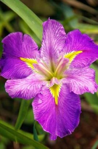 Cover of Louisiana Water Iris Flower Journal