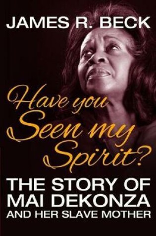 Cover of Have You Seen My Spirit?