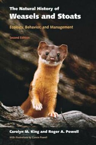 Cover of Natural History of Weasels and Stoats, The: Ecology, Behavior, and Management