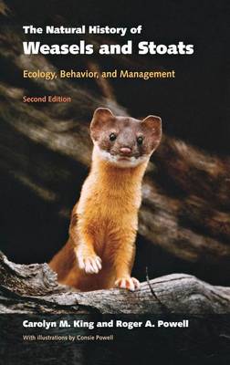 Book cover for Natural History of Weasels and Stoats, The: Ecology, Behavior, and Management