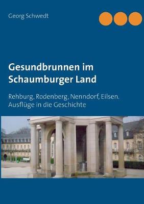 Book cover for Gesundbrunnen im Schaumburger Land