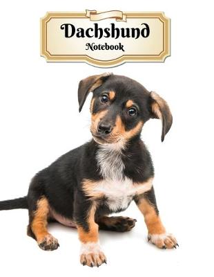 Book cover for Dachshund Notebook