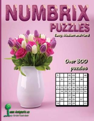 Book cover for Numbrix Puzzles