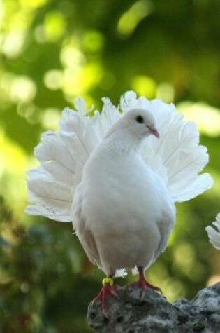 Cover of White Dove Bird of Peace Journal