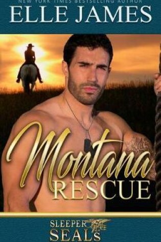 Cover of Montana Rescue