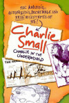 Book cover for Charlie in the Underworld