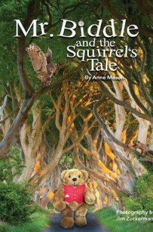 Cover of Mr. Biddle and the Squirrel's Tale