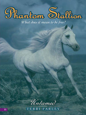 Book cover for Phantom Stallion #11: Untamed