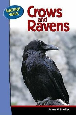 Cover of Ravens and Crows