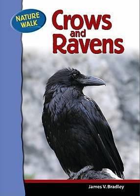 Book cover for Ravens and Crows