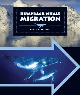 Cover of Humpback Whale Migration