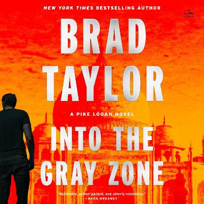 Cover of Into the Gray Zone