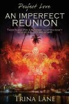 Book cover for An Imperfect Reunion