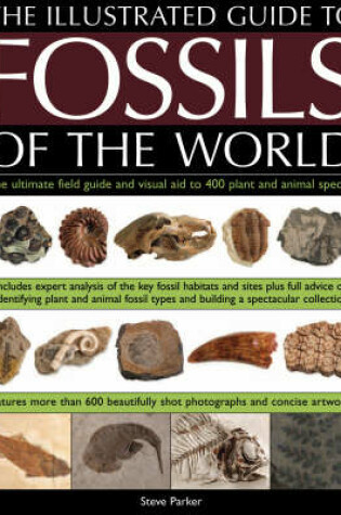 Cover of Illustrated Guide to the Fossils of the World