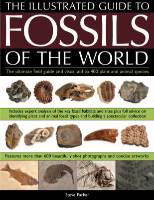 Book cover for Illustrated Guide to the Fossils of the World