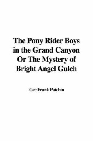 Cover of The Pony Rider Boys in the Grand Canyon or the Mystery of Bright Angel Gulch