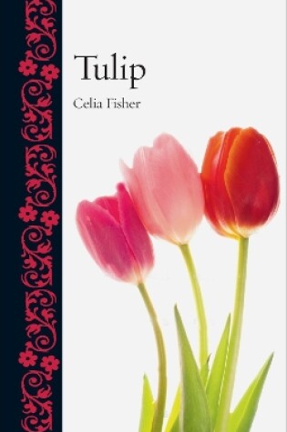 Cover of Tulip