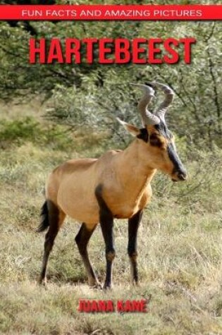 Cover of Hartebeest