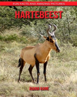 Book cover for Hartebeest