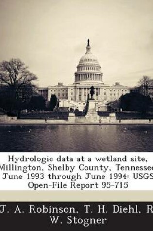 Cover of Hydrologic Data at a Wetland Site, Millington, Shelby County, Tennessee, June 1993 Through June 1994