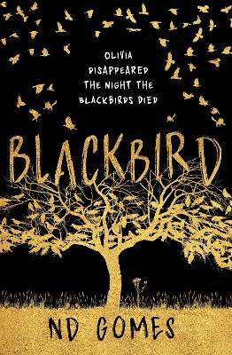 Book cover for Blackbird